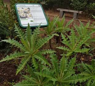 Landschaft von La Gomera