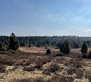 Wandern Bispingen