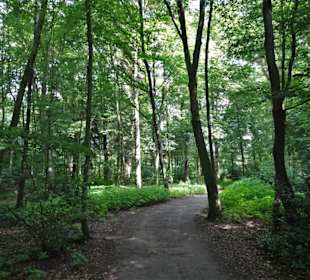 Rundgang durch den Julianenpark in Leer