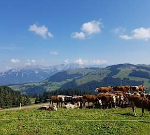 Wandern Brixen im Thale