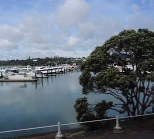 Mit dem Hop on Hop off Bus in Auckland unterwegs