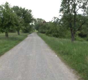 Naturinfopfad im Gewann Altstadt