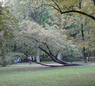 Zentrum Warszawa/Warschau