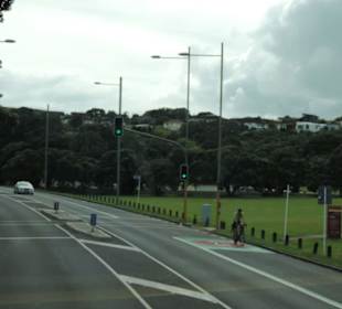 Mit dem Hop on Hop off Bus in Auckland unterwegs