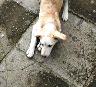 Keine Autos, die mich stören...