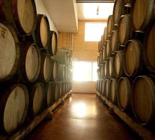 Barrique Room in the Winery