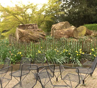 Zoologischer Stadtgarten