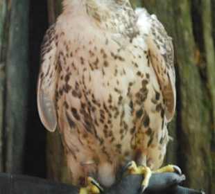 Route Vancouver Jasper Banff