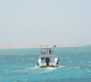 Auf Tour zum Dolphin House