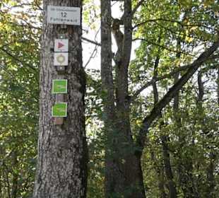 Premiumwanderweg hochgehkeltert Neuffen