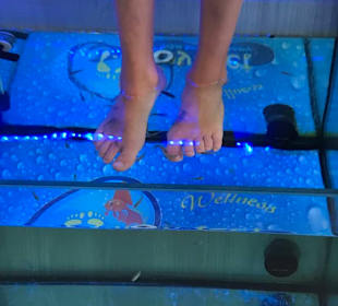 Fisch Spa Altstadt Kos 