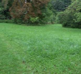 Schloss Rezensried (Ammersee)