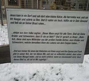 Gut Aiderbichl Info guter Spruch