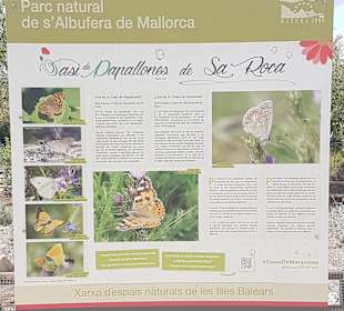 Naturpark S'Albufera