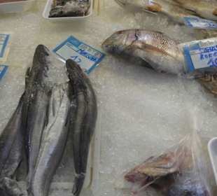 Bunter Markt in Santa Cruz