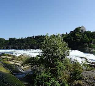Am Rheinfall