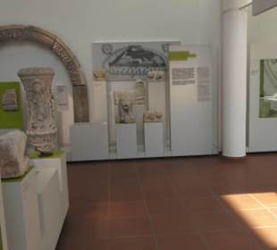 Rheinisches Landesmuseum