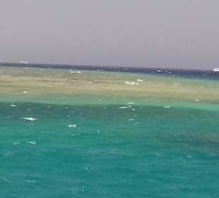 Ocean Diva Catamaran Segelausflug