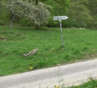 Wandertour durchs Reissenbachtal Oberhausen