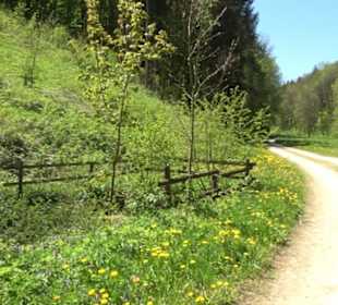 Buchtalhütte Magolsheim