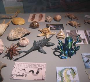 Ausstellung für Kinder