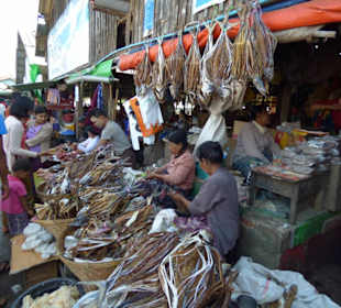Trockenfisch auch vor den Hallen