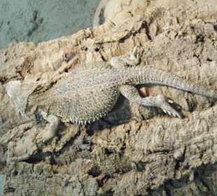 Wildparkimpressionen