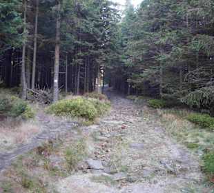 Riesengebirge/Karkonosze