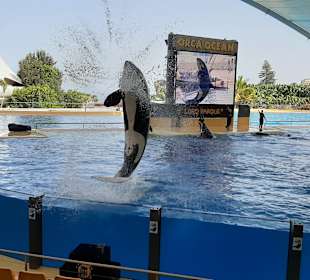 Loro Parque 
