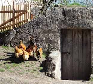 Bauernhäuser im Fränkischen Freilandmuseum