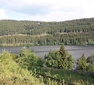 Titisee