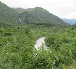 Rückfahrt vom Grandview