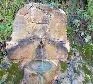 Brunnen im Botanischen Garten