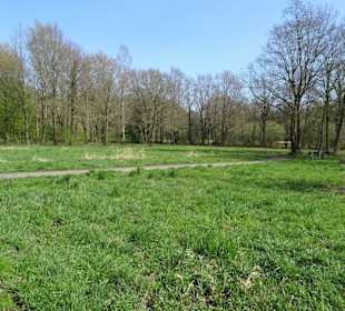 Spaziergang durch den Landschaftspark Wiesengrund