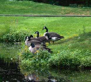 Schloßpark Kasteeltuinen Arcen