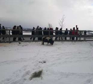 Gut Aiderbichl Weide