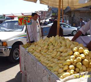 Guave , das kg nur 3,5 LE