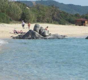 Wunderschöne Costa Rei