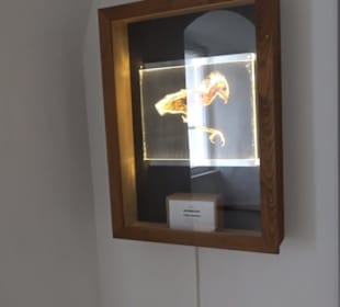 Museum Rosenburg