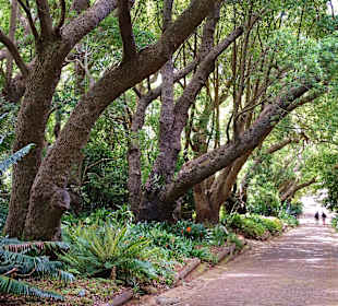 Der Weg hinaus aus dem Park