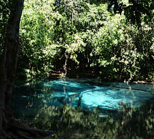 Das ist die Quelle des Emerald Pools