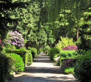 Rundgang über den Friedhof Nienstedten
