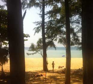 Blick von der Straße