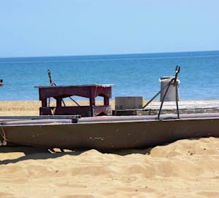 Freier kostenloser Hundebereich mit Boot