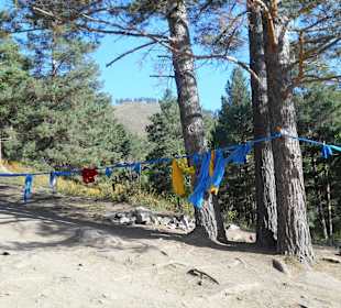 Tempel Aglag Buteelin Khiid