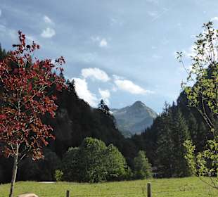 Blick vom Giebelhaus zum Talende