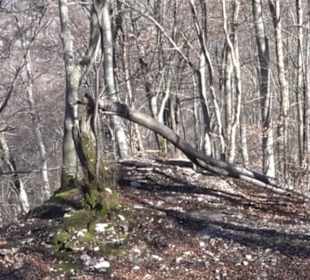 Wandertour Eppenzill