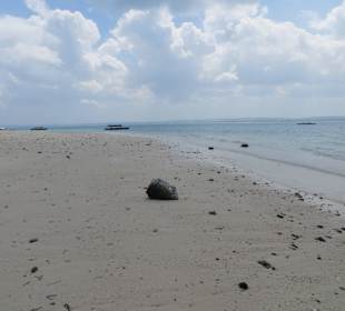 Wanderung am Strand von Prison Island
