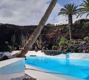 Das Becken mit Palmen drumrum