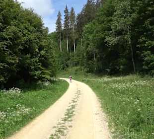 Premiumwanderweg "hochgehackert"